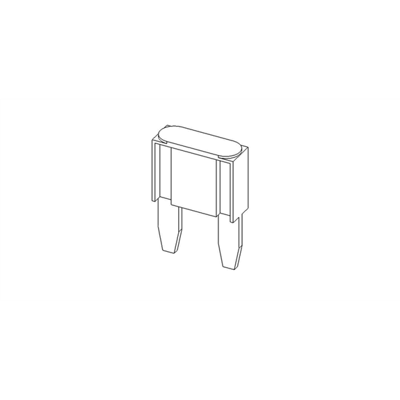 Fuse,10 Amp Mini-atc