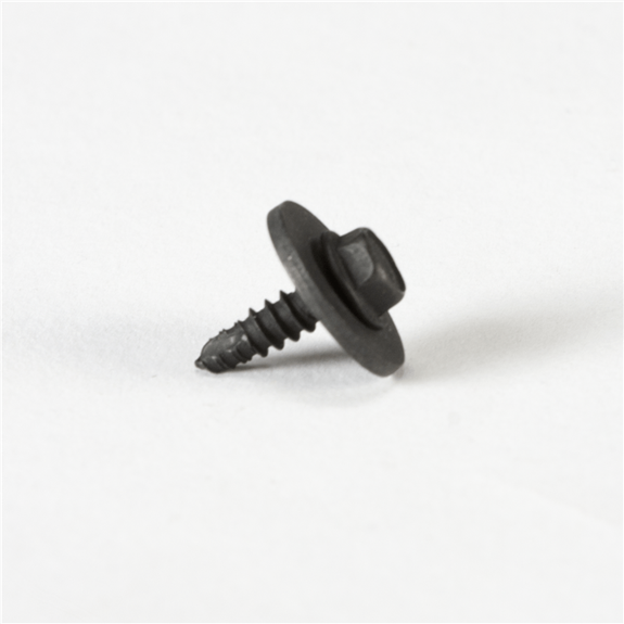 Tapping Screw with Washer